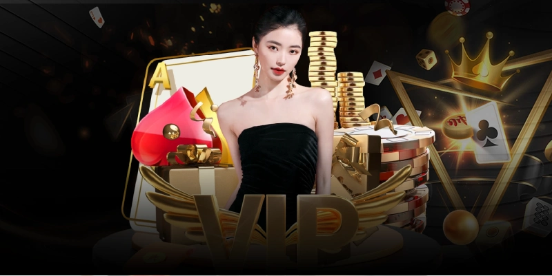 Điều quan trọng về điều khoản và điều kiện